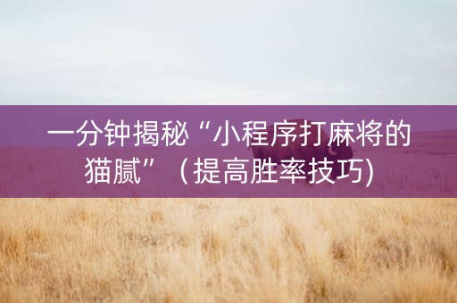 一分钟揭秘“小程序打麻将的猫腻”（提高胜率技巧)