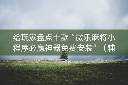 给玩家盘点十款“微乐麻将小程序必赢神器免费安装”（辅助神器免费)