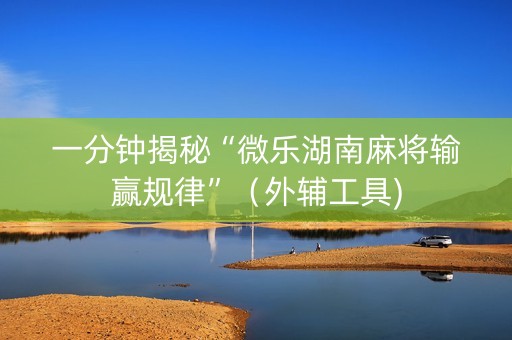 一分钟揭秘“微乐湖南麻将输赢规律”（外辅工具)