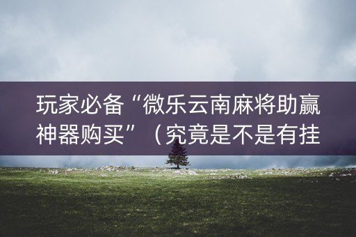 玩家必备“微乐云南麻将助赢神器购买”（究竟是不是有挂)