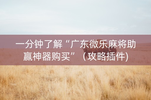 一分钟了解“广东微乐麻将助赢神器购买”（攻略插件)