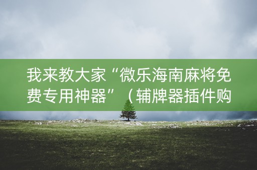 我来教大家“微乐海南麻将免费专用神器”（辅牌器插件购买)