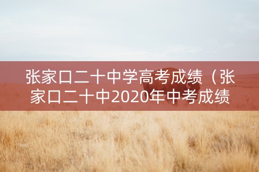 张家口二十中学高考成绩（张家口二十中2020年中考成绩）