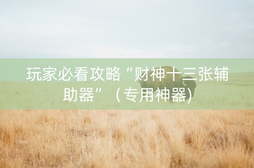 玩家必看攻略“财神十三张辅助器”（专用神器)
