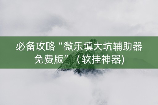 必备攻略“微乐填大坑辅助器免费版”（软挂神器)