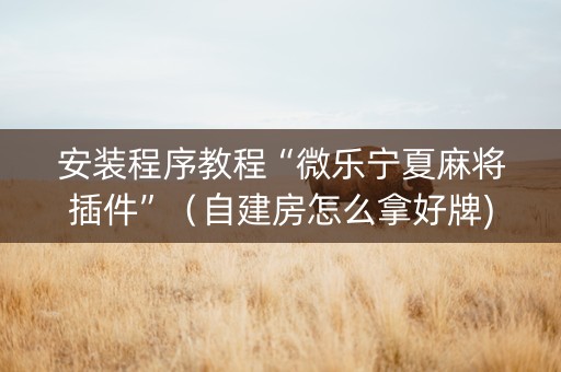 安装程序教程“微乐宁夏麻将插件”（自建房怎么拿好牌)
