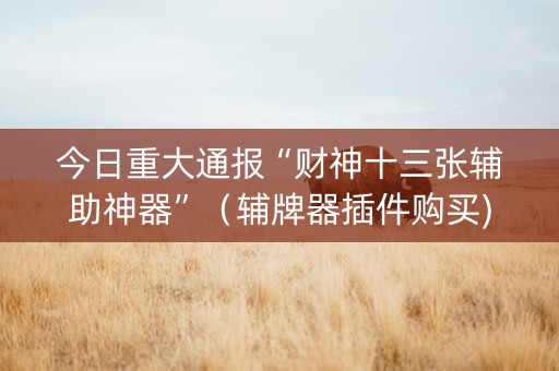 今日重大通报“财神十三张辅助神器”（辅牌器插件购买)