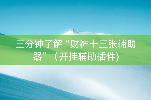 三分钟了解“财神十三张辅助器”（开挂辅助插件)