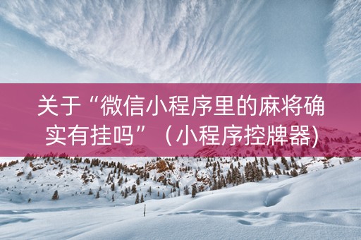 关于“微信小程序里的麻将确实有挂吗”（小程序控牌器)