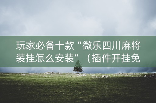 玩家必备十款“微乐四川麻将装挂怎么安装”（插件开挂免费AI)