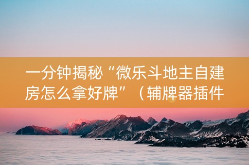 一分钟揭秘“微乐斗地主自建房怎么拿好牌”（辅牌器插件购买)