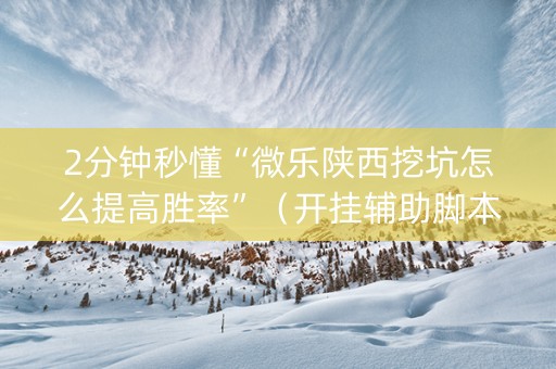 2分钟秒懂“微乐陕西挖坑怎么提高胜率”（开挂辅助脚本)