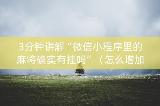 3分钟讲解“微信小程序里的麻将确实有挂吗”（怎么增加胜率)