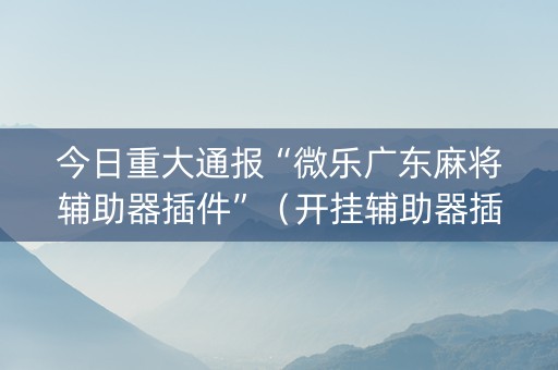 今日重大通报“微乐广东麻将辅助器插件”（开挂辅助器插件)