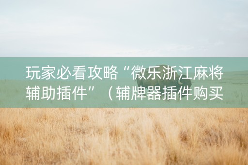 玩家必看攻略“微乐浙江麻将辅助插件”（辅牌器插件购买)