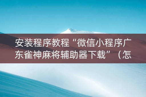 安装程序教程“微信小程序广东雀神麻将辅助器下载”（怎么能调好牌)