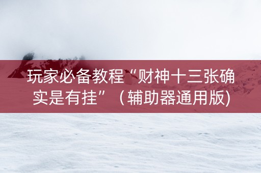 玩家必备教程“财神十三张确实是有挂”（辅助器通用版)