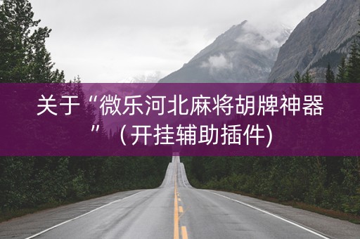 关于“微乐河北麻将胡牌神器”（开挂辅助插件)