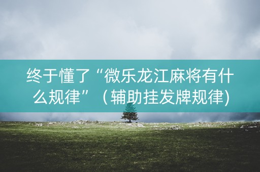 终于懂了“微乐龙江麻将有什么规律”（辅助挂发牌规律)