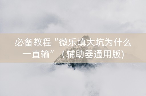必备教程“微乐填大坑为什么一直输”（辅助器通用版)