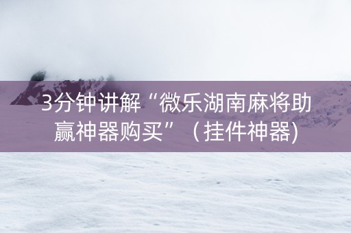 3分钟讲解“微乐湖南麻将助赢神器购买”（挂件神器)