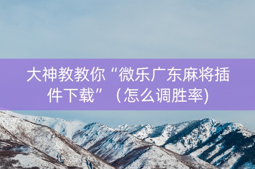 大神教教你“微乐广东麻将插件下载”（怎么调胜率)
