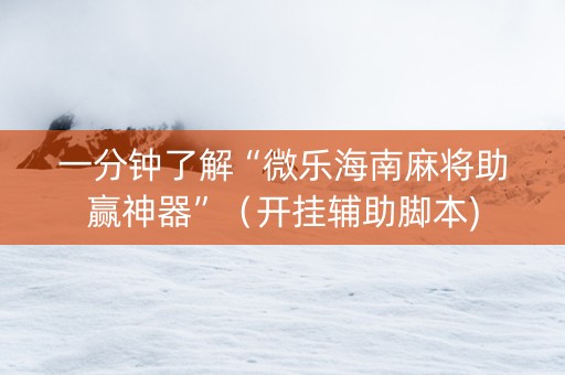 一分钟了解“微乐海南麻将助赢神器”（开挂辅助脚本)