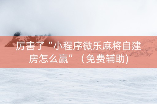 厉害了“小程序微乐麻将自建房怎么赢”（免费辅助)