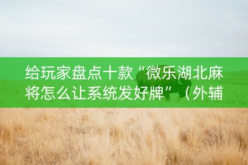给玩家盘点十款“微乐湖北麻将怎么让系统发好牌”（外辅工具)