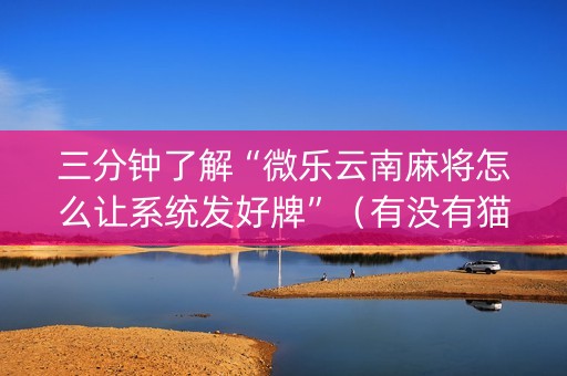 三分钟了解“微乐云南麻将怎么让系统发好牌”（有没有猫腻)