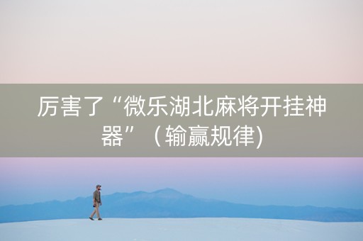 厉害了“微乐湖北麻将开挂神器”（输赢规律)