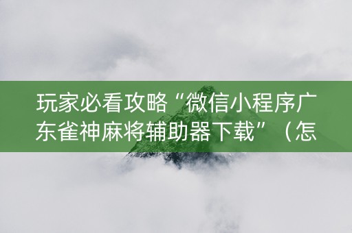 玩家必看攻略“微信小程序广东雀神麻将辅助器下载”（怎么设置能有好牌)