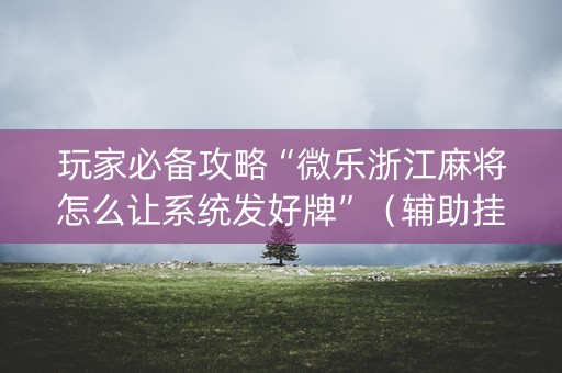 玩家必备攻略“微乐浙江麻将怎么让系统发好牌”（辅助挂发牌规律)