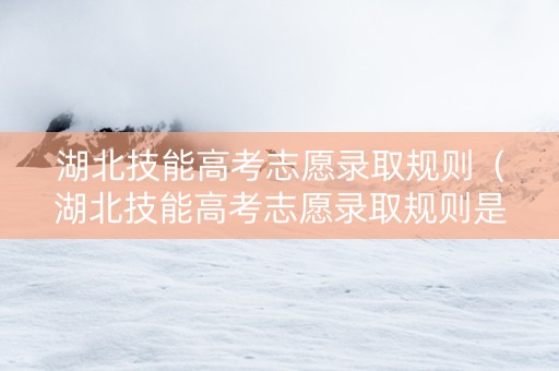 湖北技能高考志愿录取规则（湖北技能高考志愿录取规则是什么）