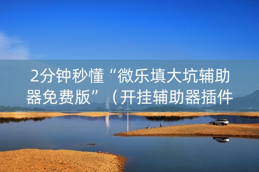 2分钟秒懂“微乐填大坑辅助器免费版”（开挂辅助器插件)