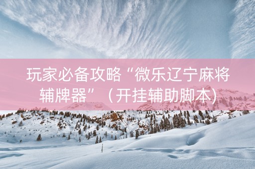玩家必备攻略“微乐辽宁麻将辅牌器”（开挂辅助脚本)