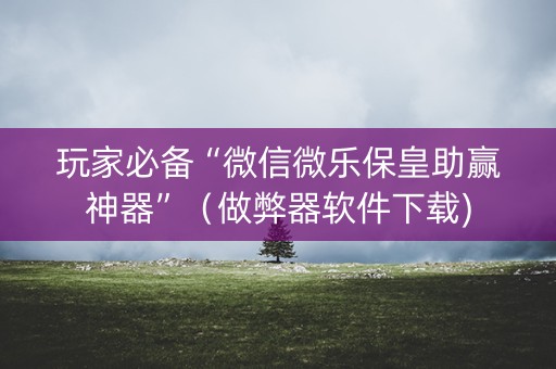 玩家必备“微信微乐保皇助赢神器”（做弊器软件下载)