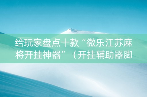 给玩家盘点十款“微乐江苏麻将开挂神器”（开挂辅助器脚本)