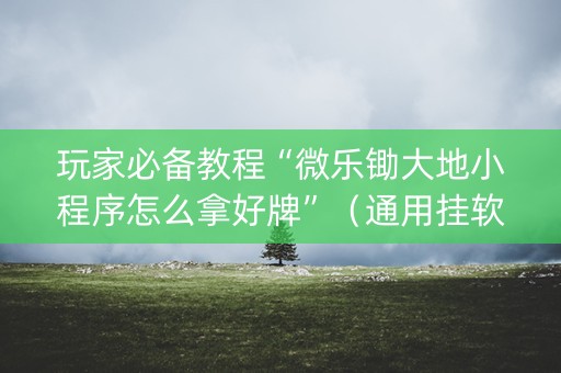 玩家必备教程“微乐锄大地小程序怎么拿好牌”（通用挂软件多少钱)