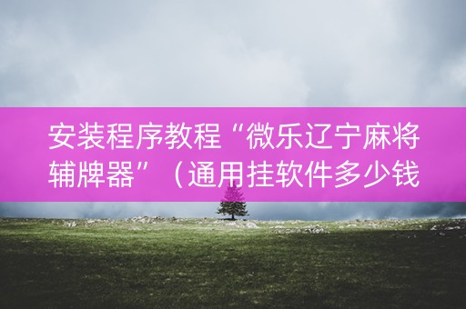 安装程序教程“微乐辽宁麻将辅牌器”（通用挂软件多少钱)