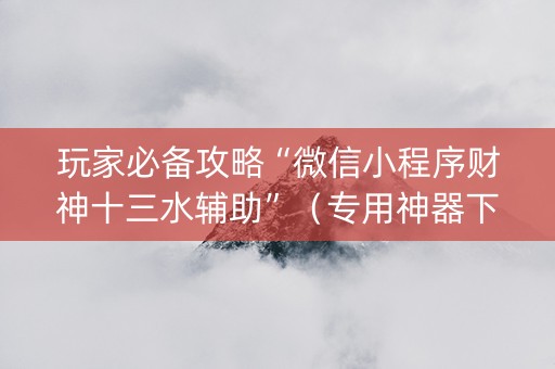 玩家必备攻略“微信小程序财神十三水辅助”（专用神器下载)