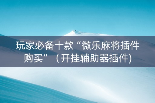 玩家必备十款“微乐麻将插件购买”（开挂辅助器插件)
