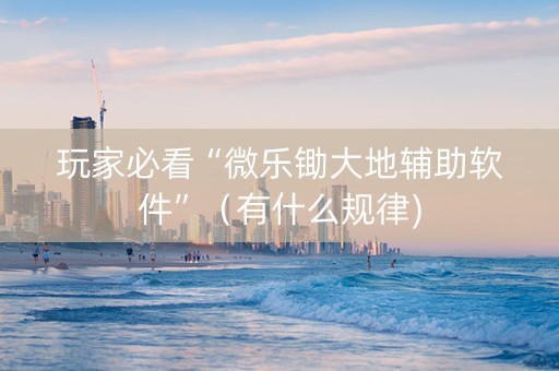 玩家必看“微乐锄大地辅助软件”（有什么规律)