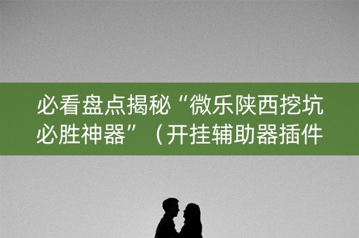 必看盘点揭秘“微乐陕西挖坑必胜神器”（开挂辅助器插件)