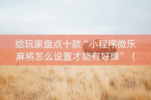 给玩家盘点十款“小程序微乐麻将怎么设置才能有好牌”（有什么规律)