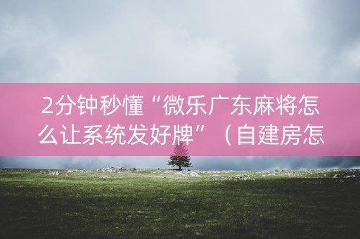 2分钟秒懂“微乐广东麻将怎么让系统发好牌”（自建房怎么拿好牌)