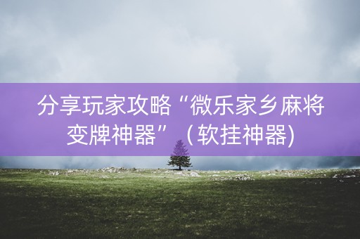 分享玩家攻略“微乐家乡麻将变牌神器”（软挂神器)