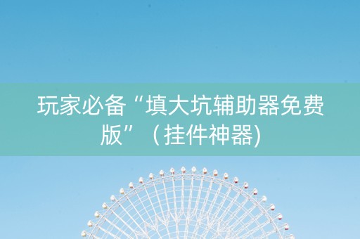 玩家必备“填大坑辅助器免费版”（挂件神器)