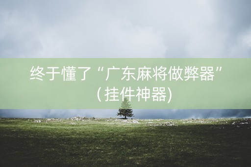 终于懂了“广东麻将做弊器”（挂件神器)