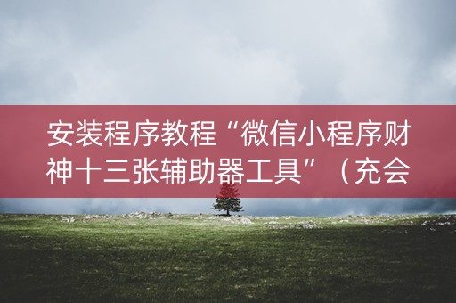 安装程序教程“微信小程序财神十三张辅助器工具”（充会员胜率高)